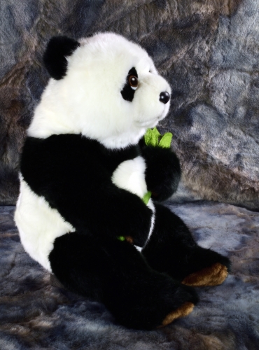 Pandabär sitzend